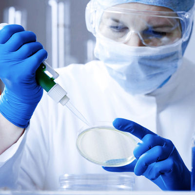 Η ιατρική εξέταση νιτριλίων ISO14001 6Mil φορά γάντια στα μίας χρήσης γάντια ασφάλειας